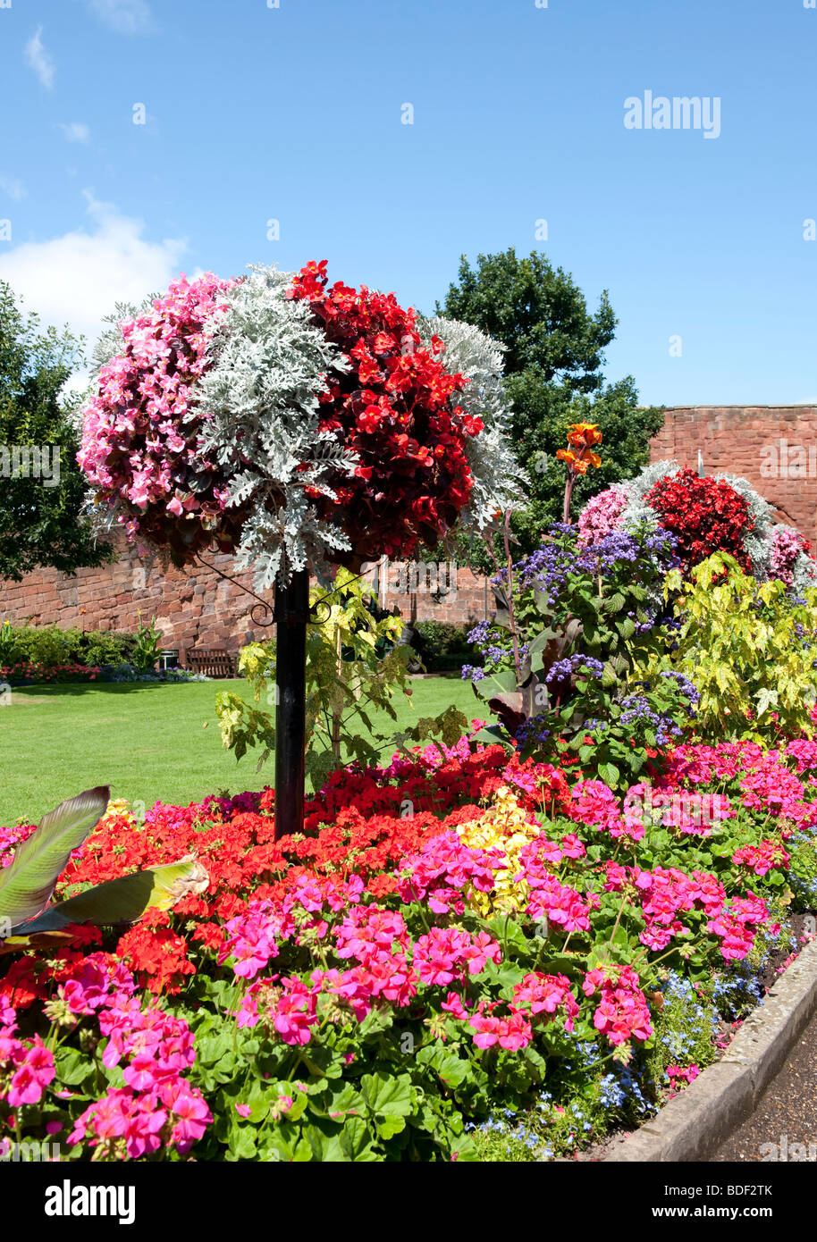 Letti di fiori nel parco del castello di Shrewsbury Foto Stock
