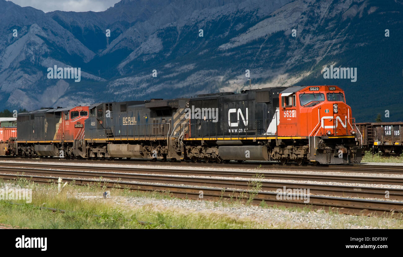 Il Canadian National treno tirando in cantiere di Jasper West bound, con un Foto Stock