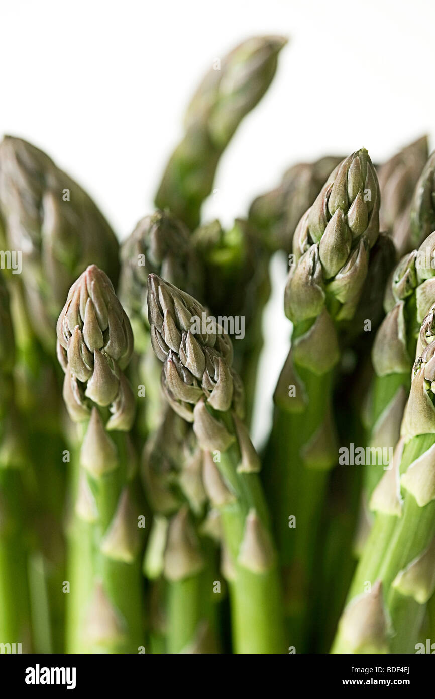 Gli stocchi di asparagi contro uno sfondo bianco Foto Stock