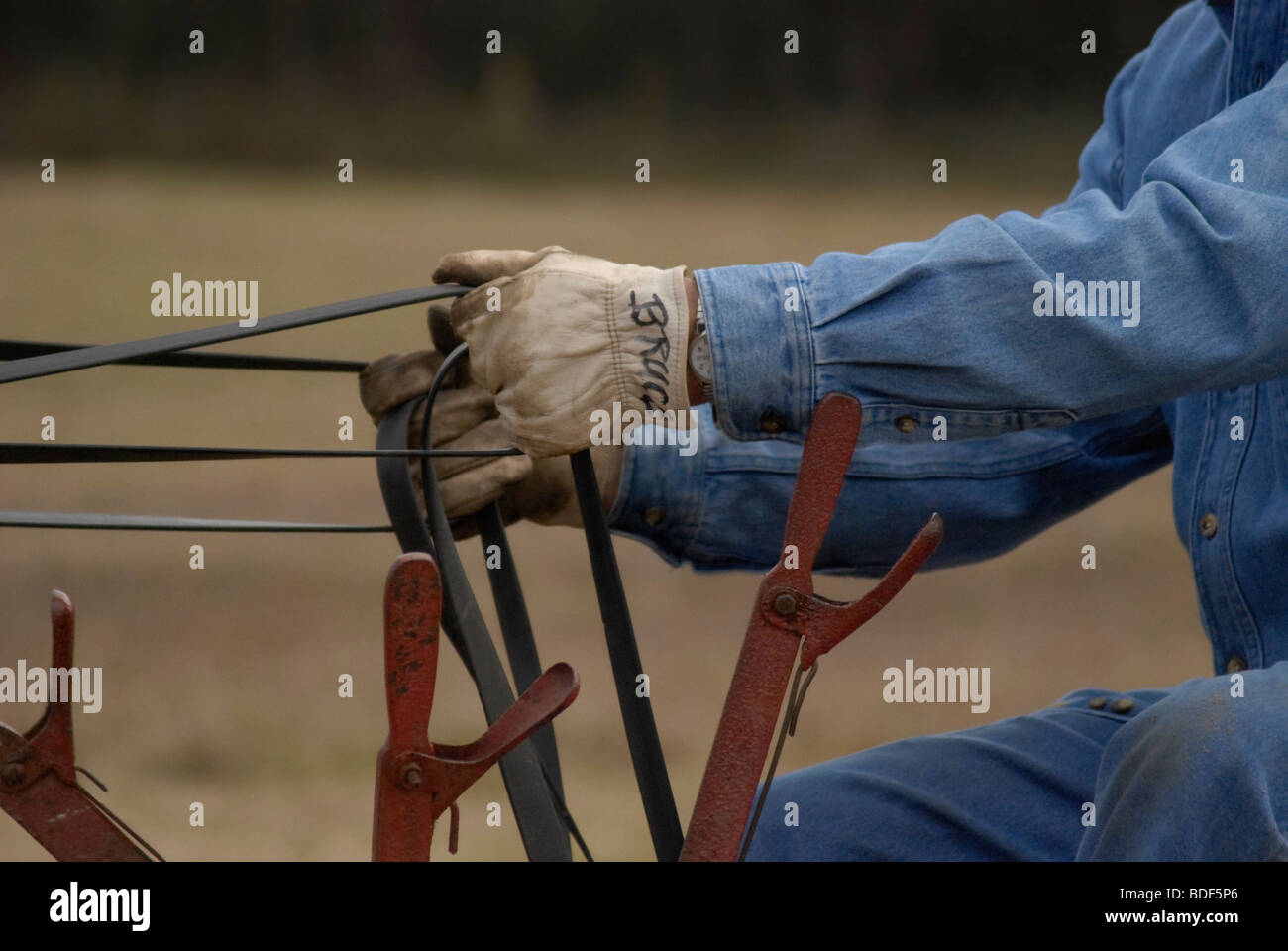 Aratro annuale Days Festival a Dudley Farm Historic State Park, Newberry, Florida--Registro Nazionale dei Luoghi Storici. Foto Stock