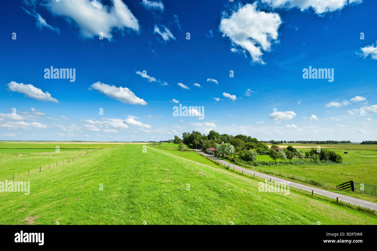 Estate sfondo con fresca erba verde e luminoso cielo blu Foto Stock