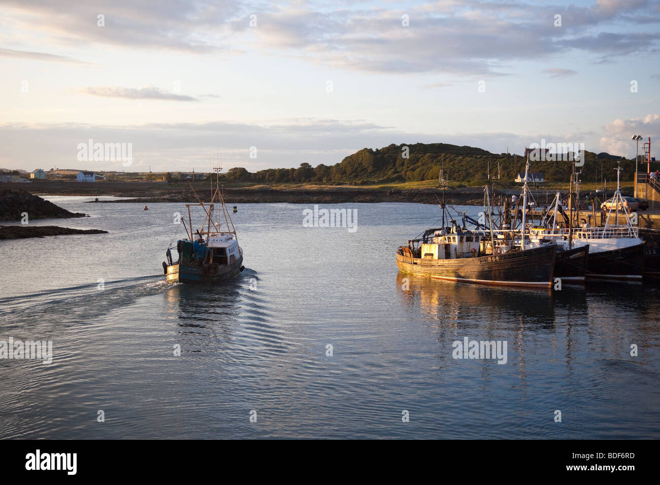 La pesca a strascico lasciando Ardglass porto al crepuscolo Foto Stock