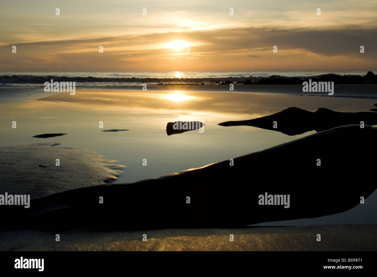 Sunrise e pool di marea riflessioni sul Driftwood Beach - Jekyll Island, Georgia Foto Stock