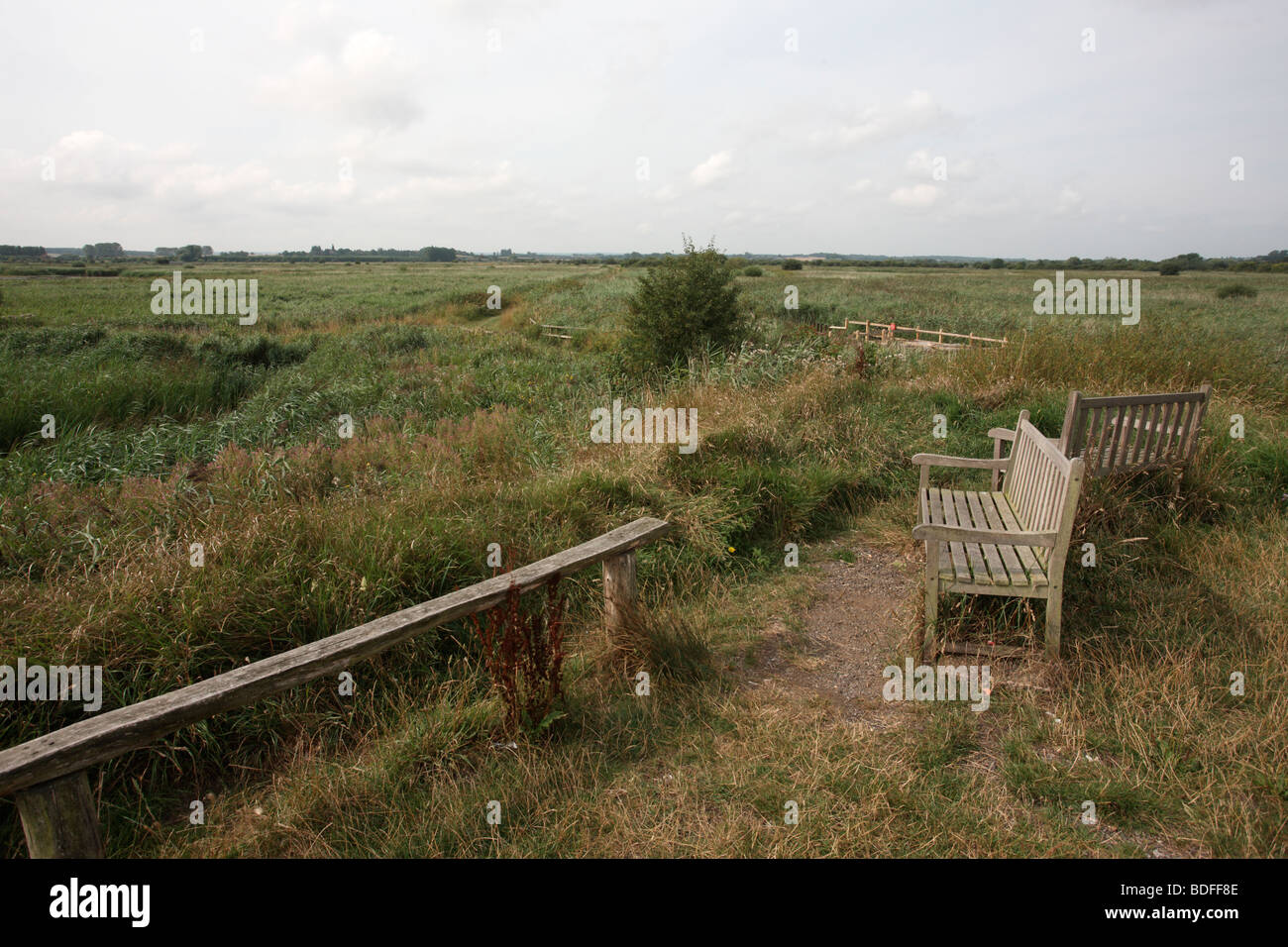 Stodmarsh riserva naturale nazionale, da Grove Ferry, Kent, Agosto 2009 Foto Stock