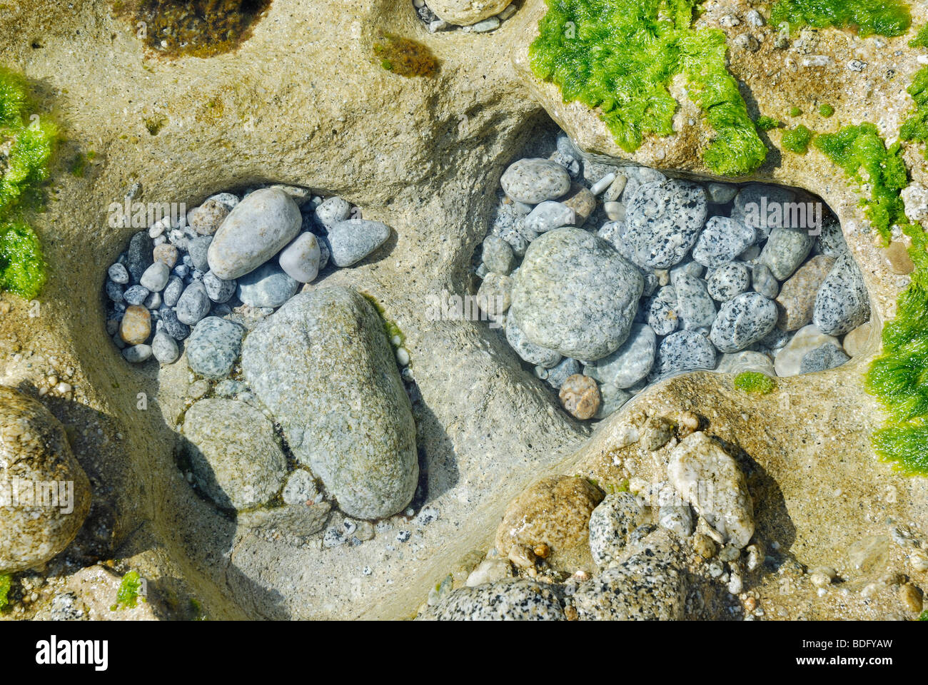 Bacino di marea con pietre di granito levigati, Mar Tirreno, Italia, Europa Foto Stock