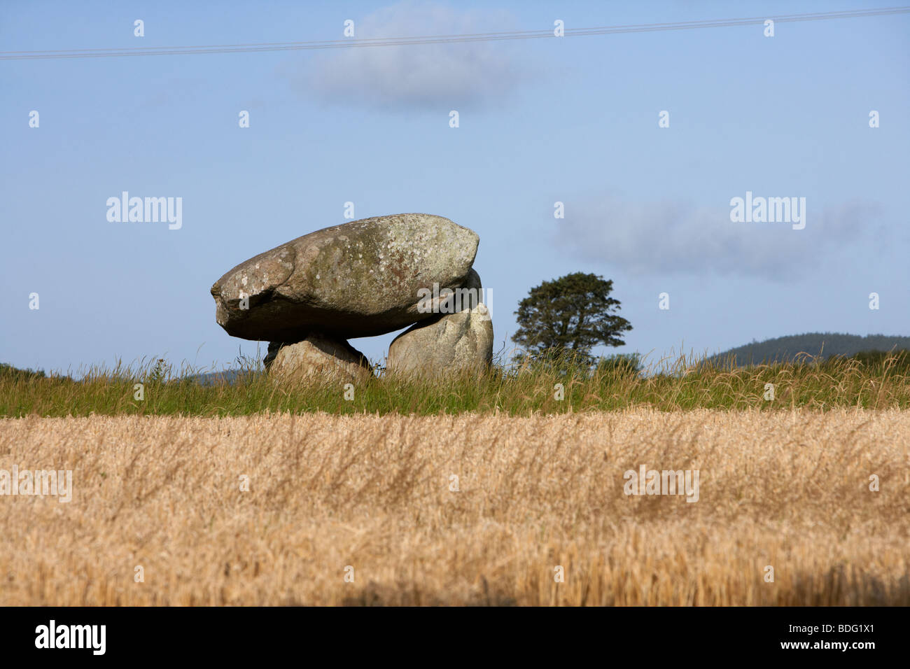 Slidderyford o Wateresk dolmen situato nel mezzo di un campo di orzo nella contea di Down Irlanda del Nord Foto Stock