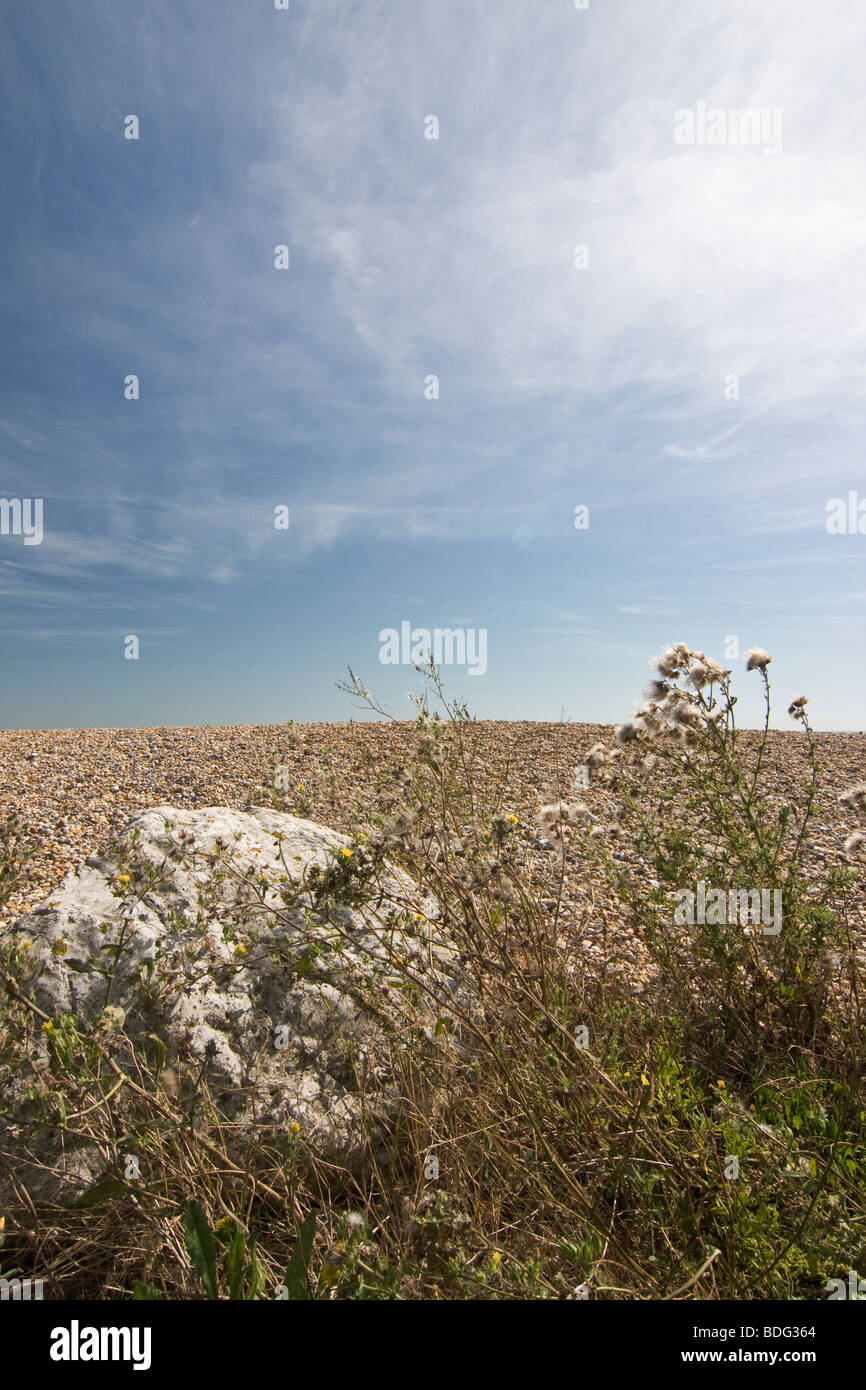 Boulder & vegetazione a macchia su una spiaggia ghiaiosa Foto Stock