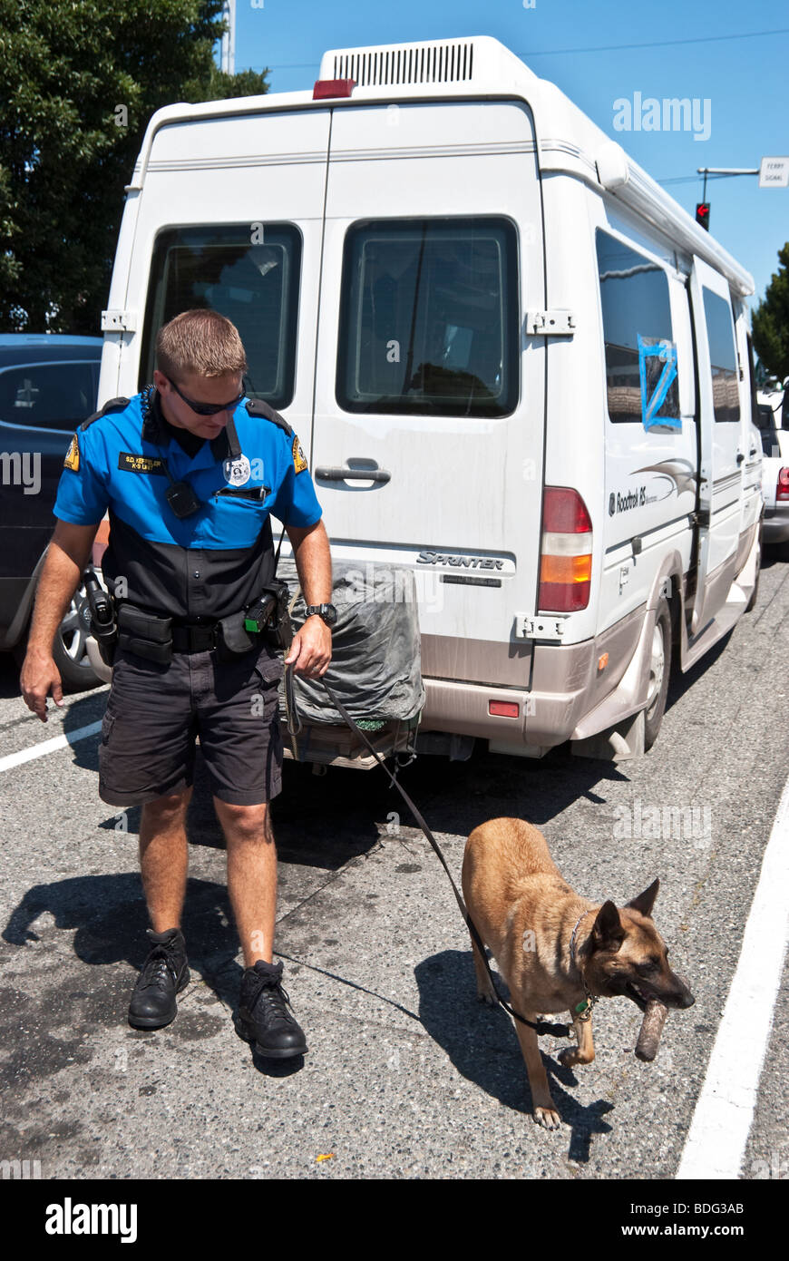 Stato giovane uomo patrol & bomba cane di sniffing dei controlli dei veicoli in attesa in linea per stato di Washington del traghetto Edmonds a Washington Foto Stock