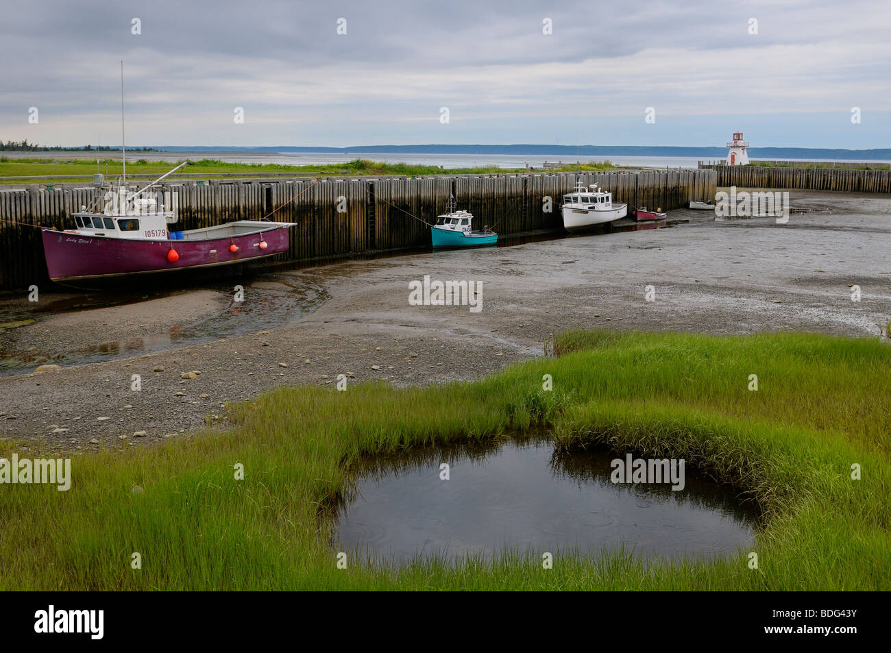 Belliveau cove faro con la bassa marea sulla baia di Fundy Nova Scotia Foto Stock