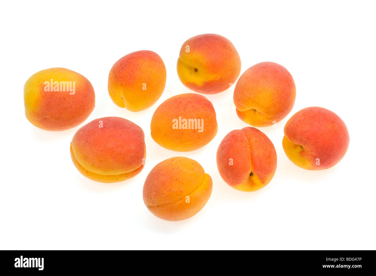 Fresche albicocche francese ritaglio sfondo bianco studio shot cibi dolci di frutta fresca rosso arancio giallo appena pur molti multi molto alcuni Foto Stock