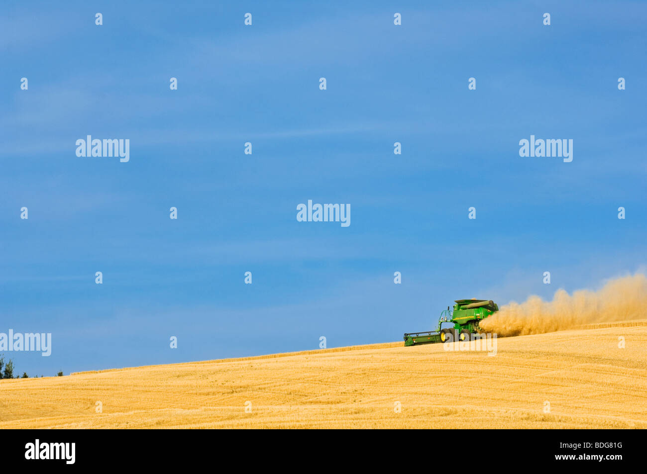 Una mietitrebbia John Deere morbido di raccolti di grano bianco di rotolamento sul terreno in collina nel tardo pomeriggio / luce vicino al Pullman, Washington. Foto Stock