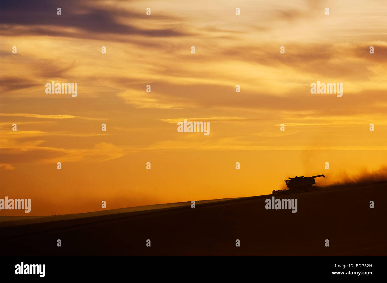 Una mietitrebbia John Deere di raccolti di grano di rotolamento sul terreno collinare al tramonto / Regione Palouse, vicino Pullman, Washington, Stati Uniti d'America. Foto Stock