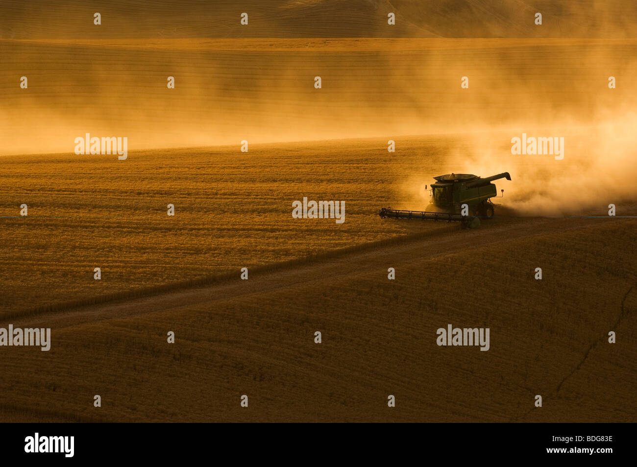 Una mietitrebbia John Deere di raccolti di grano di rotolamento sul terreno collinare al tramonto / Regione Palouse, vicino Pullman, Washington, Stati Uniti d'America. Foto Stock