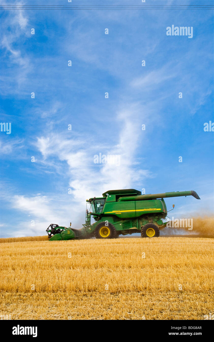 Una mietitrebbia John Deere morbido di raccolti di grano bianco di rotolamento sul terreno collinare / Regione Palouse, vicino Pullman, Washington, Stati Uniti d'America. Foto Stock