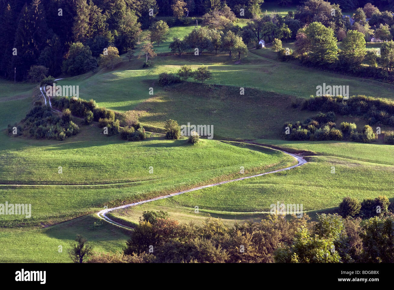 Una strada di ghiaia avvolgimento il verde delle colline di seguito Zavrh Trojanah pri, vicino Trojane, Slovenia. Foto Stock