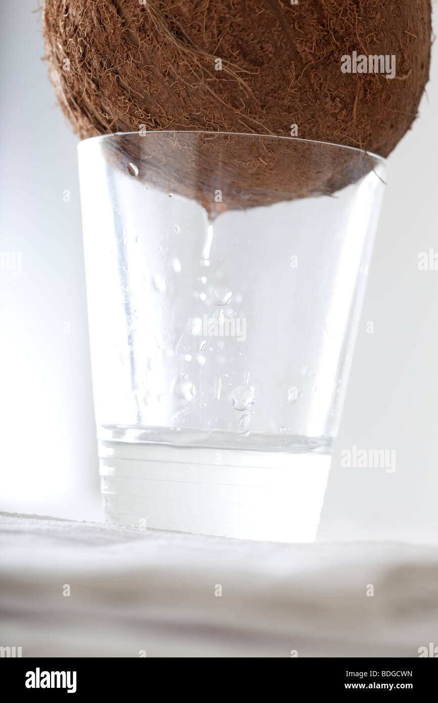 NOCE DI COCCO Foto Stock