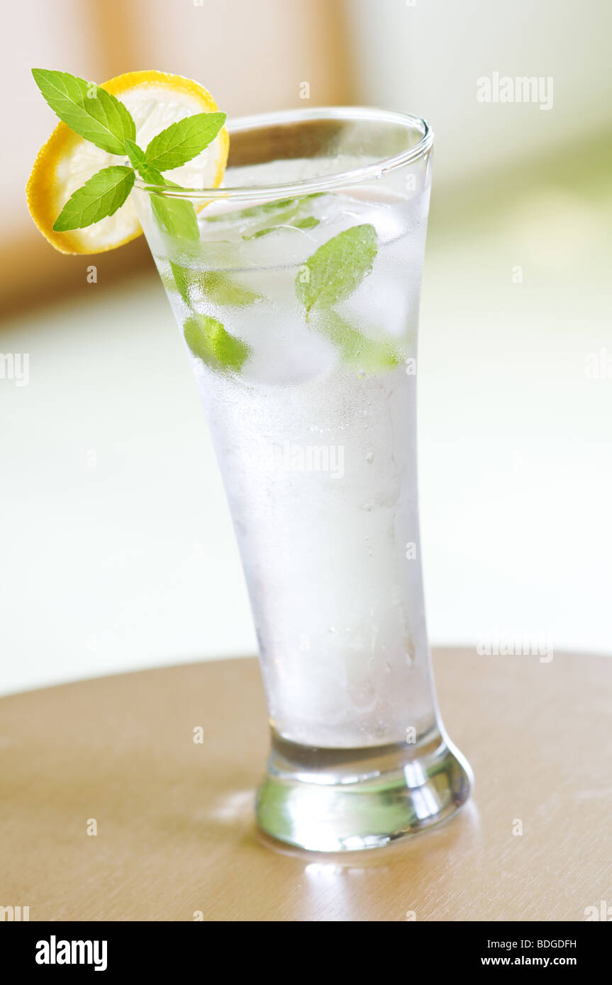 Cocktail con limone e menta ramoscello Foto Stock