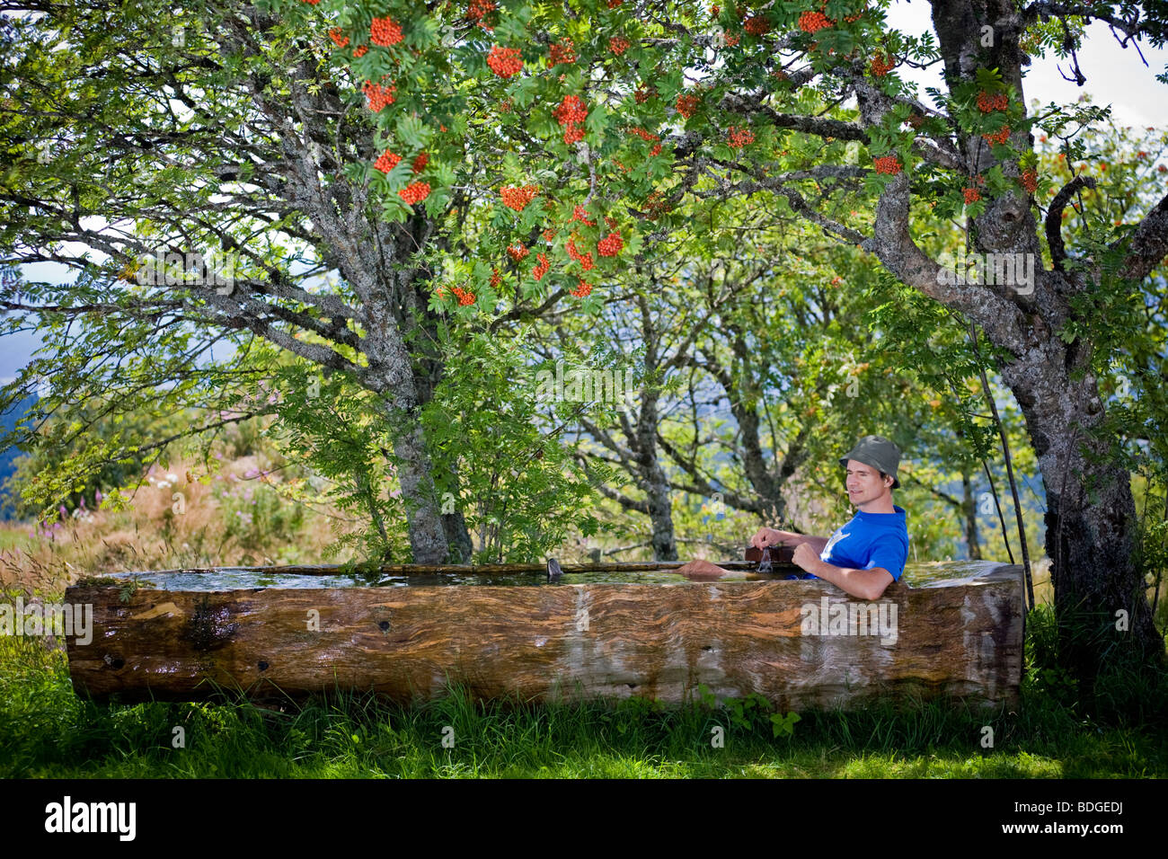 Un fresco break nel Livradois Forez - riserva naturale (Francia). Pausa fraîcheur dans le Parc Naturel Régional Livradois Forez -. Foto Stock