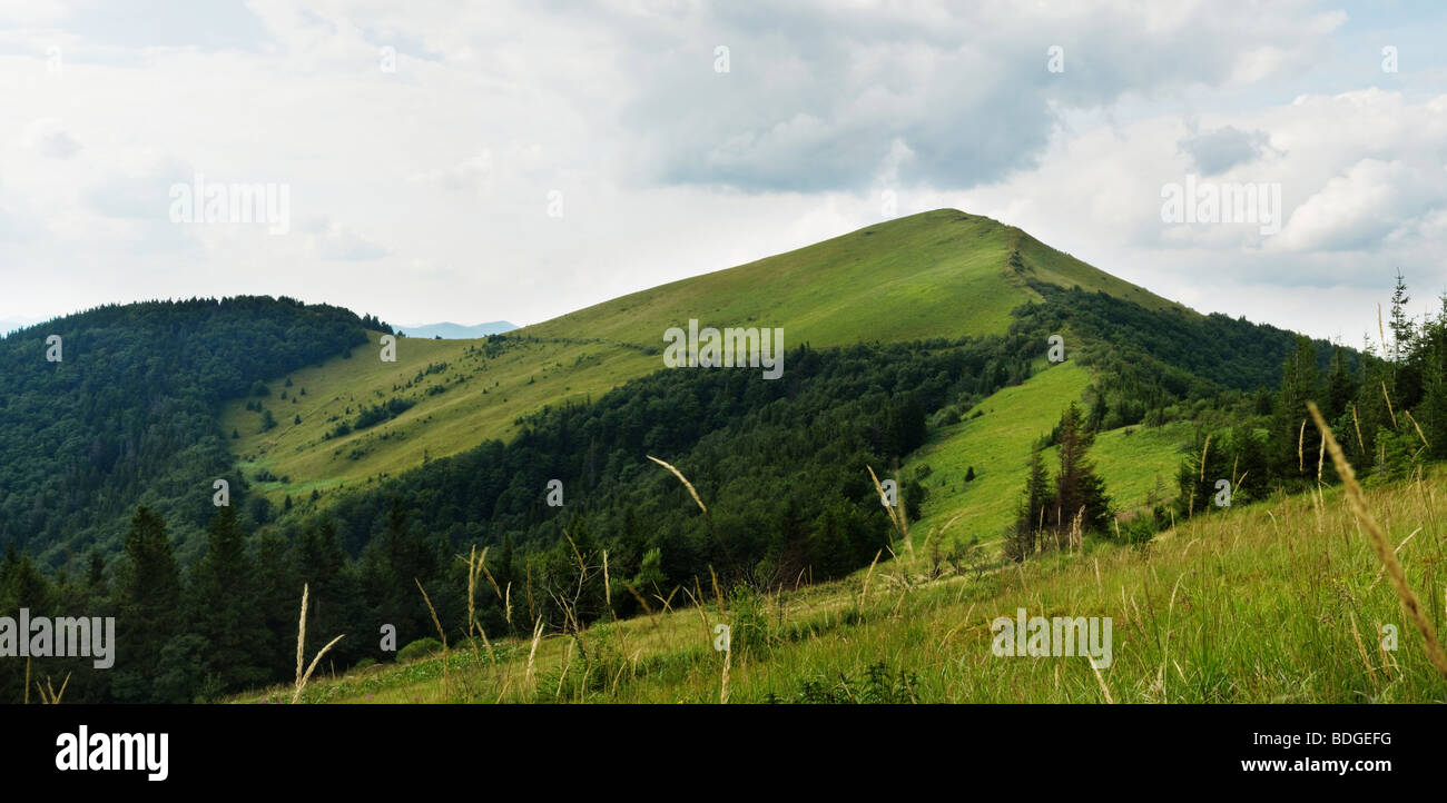 Carpazi panorama Foto Stock