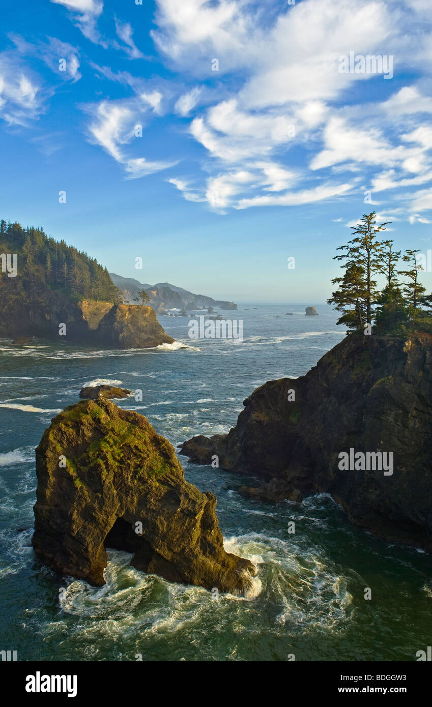 Oregon Coast a sud di ponti naturali Viewpoint, Samuel H. Boardman parco dello stato. Foto Stock