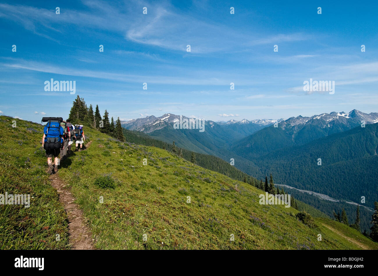 Backpackers su Alta Divide Trail, Hoh River Valley e Bailey montagna sulla destra; il Parco Nazionale di Olympic, Washington. Foto Stock