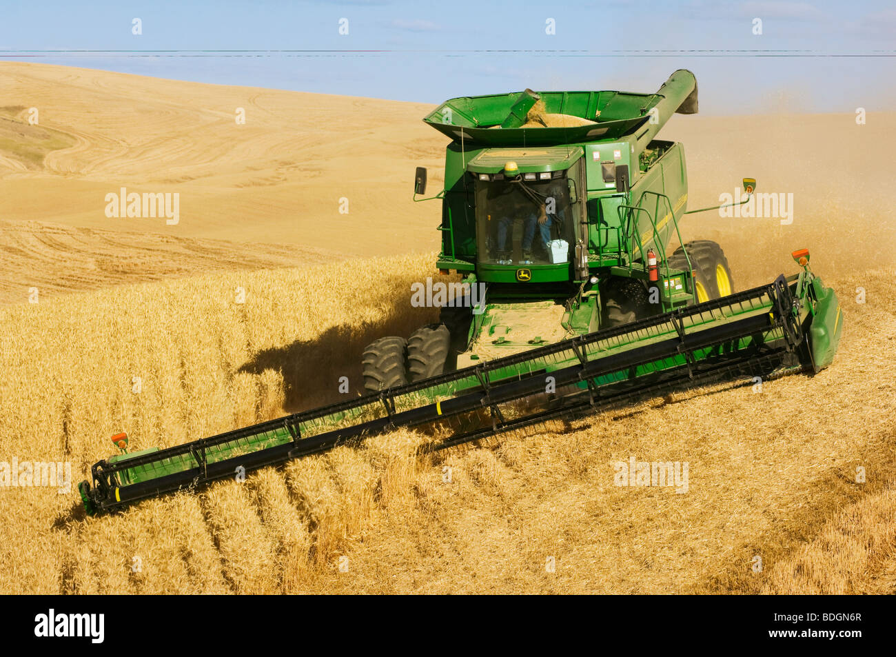 Una mietitrebbia John Deere morbido di raccolti di grano bianco di rotolamento sul terreno collinare / Regione Palouse, vicino Pullman, Washington, Stati Uniti d'America. Foto Stock