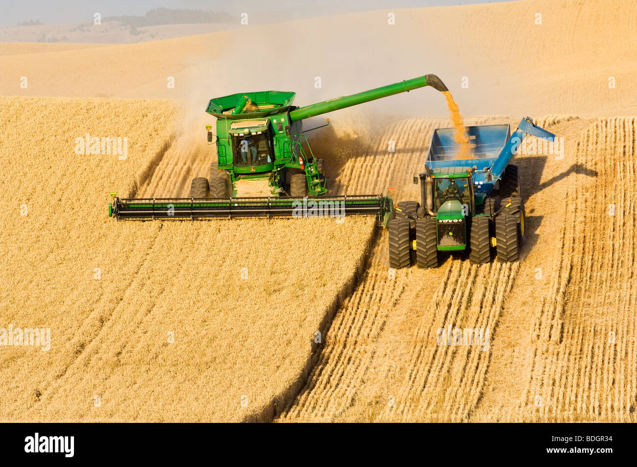 Una mietitrebbia John Deere morbido di raccolti di grano bianco di rotolamento sul terreno collinare e si scarica in un carro di grano "on-the-go" / STATI UNITI D'AMERICA. Foto Stock