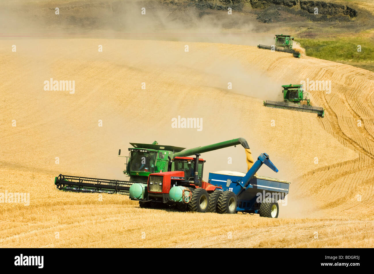 Tre combina il raccolto di grano di rotolamento sul terreno collinare mentre la mietitrebbia in primo piano scarica in un carro del grano / STATI UNITI D'AMERICA. Foto Stock