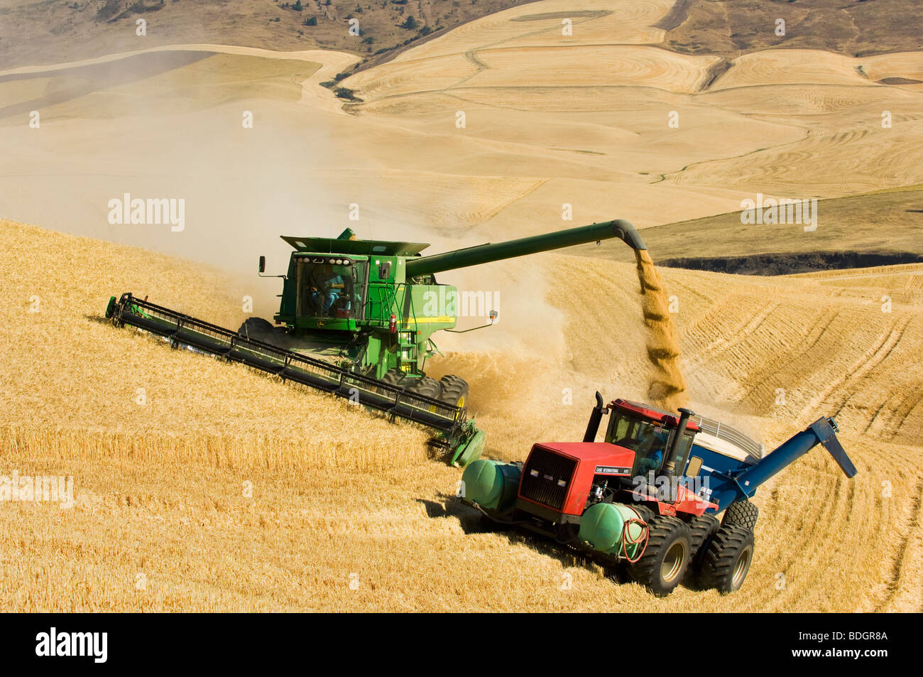 Una mietitrebbia John Deere morbido di raccolti di grano bianco di rotolamento sul terreno collinare e si scarica in un carro di grano "on-the-go" / STATI UNITI D'AMERICA. Foto Stock