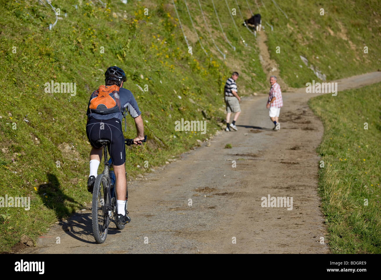 Mountain Biker avvicinando due escursionisti su un sentiero discendente, Appenzell, Svizzera Foto Stock