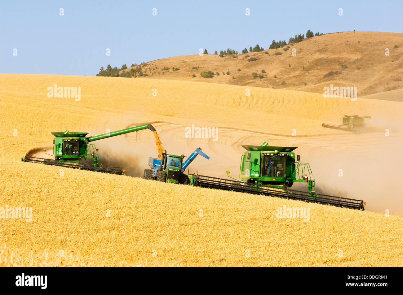 Due mietitrebbia harvest Soft di grano bianco di rotolamento sul terreno collinare mentre una mietitrebbia scarica in un carro di grano "on-the-go" / USA Foto Stock