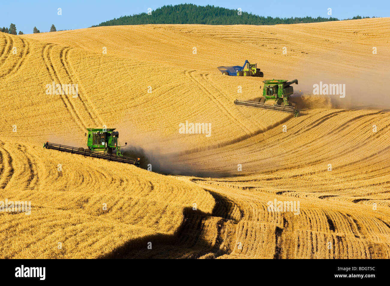 Due John Deere combina morbida del raccolto di grano bianco di rotolamento sul terreno collinare, seguita da un trattore e grano / Washginton Foto Stock