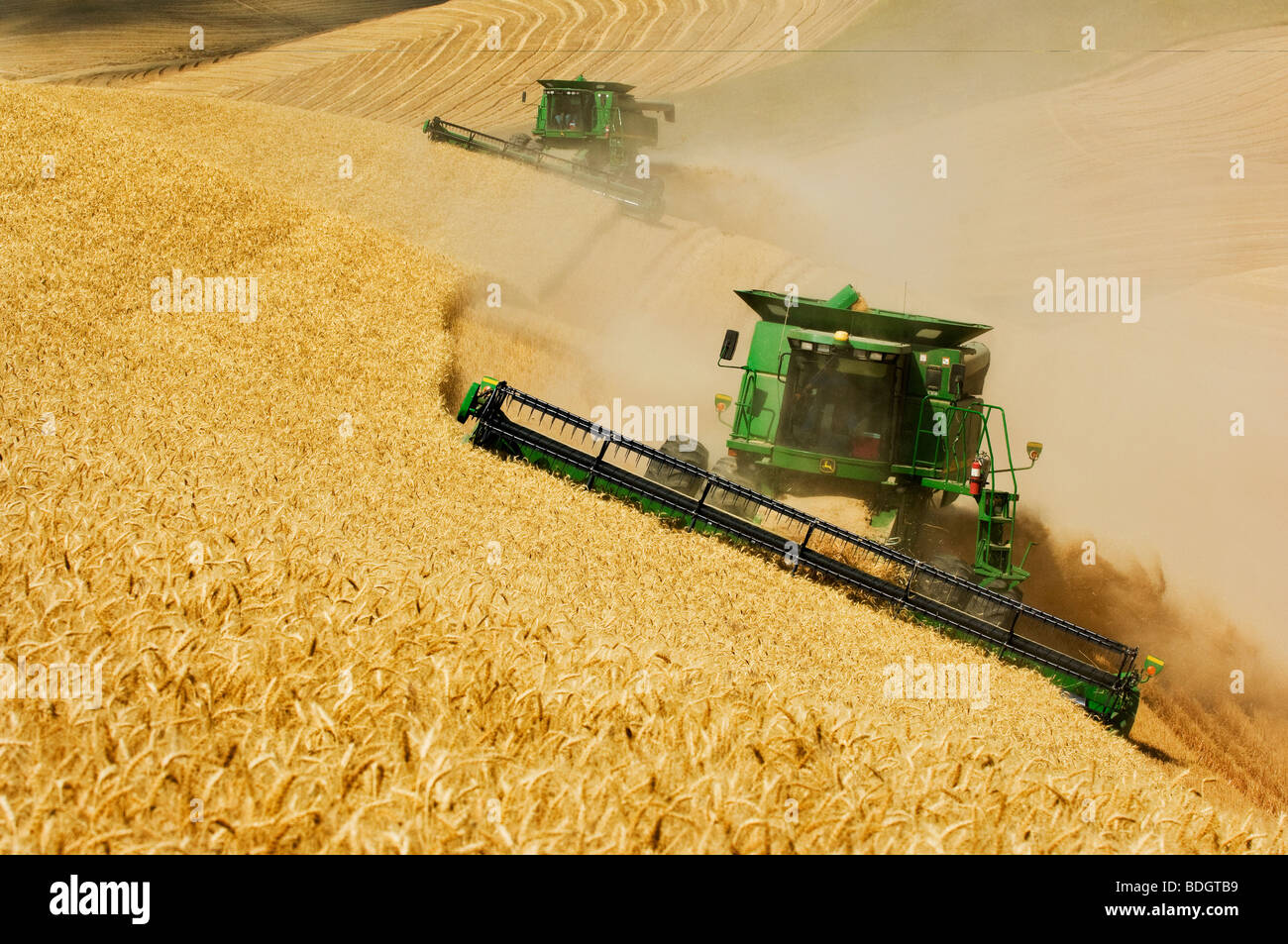 Due John Deere combina morbida del raccolto di grano bianco sul pendio scosceso terreno in condizioni polverose / vicino al Pullman, Washington, Stati Uniti d'America. Foto Stock