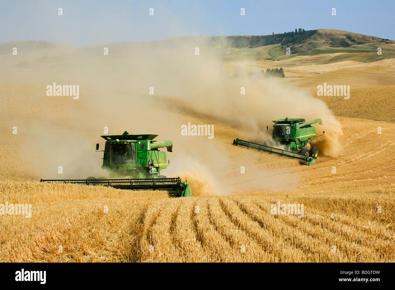 Due John Deere combina morbida del raccolto di grano bianco di rotolamento sul terreno collinare in condizioni polverose / vicino al Pullman, Washington, Stati Uniti d'America Foto Stock