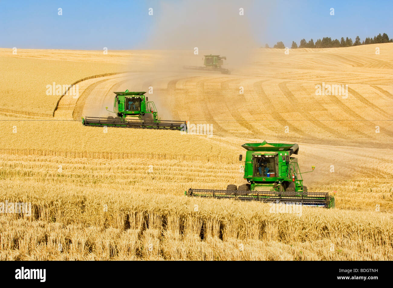 Tre John Deere combina morbida del raccolto di grano bianco di rotolamento sul terreno collinare in condizioni polverose / WASHINGTON, STATI UNITI D'AMERICA. Foto Stock