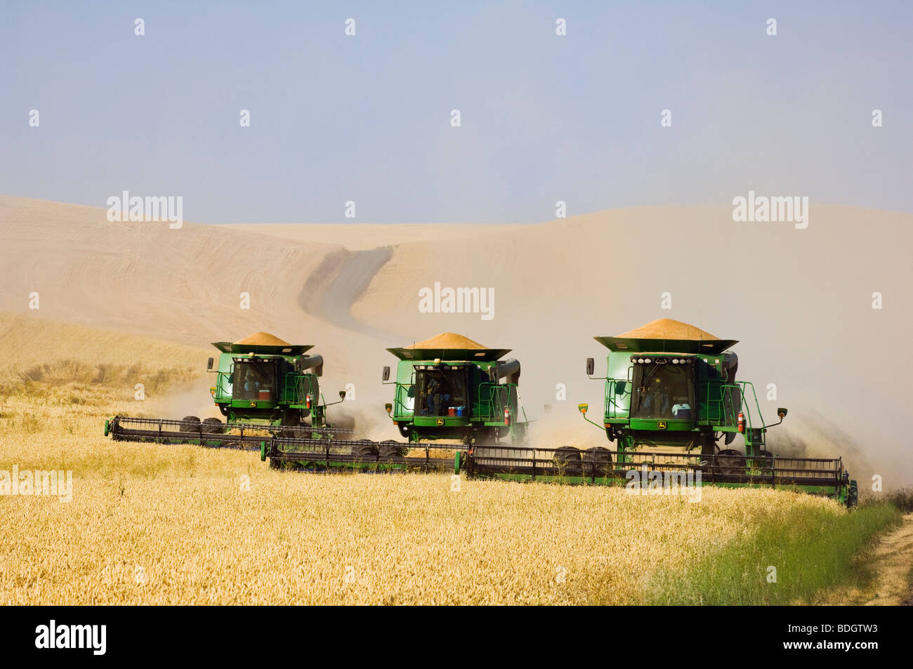 Tre John Deere combina morbida del raccolto di grano bianco in tandem sulla laminazione di terreno collinare in condizioni polverose / WASHINGTON, STATI UNITI D'AMERICA. Foto Stock