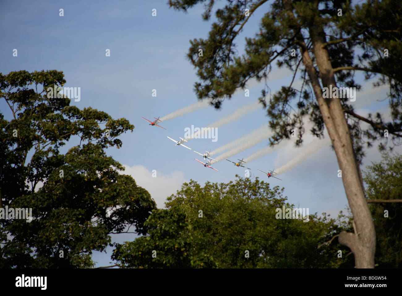 Display di acrobazia aerea di yak nel cielo blu Foto Stock