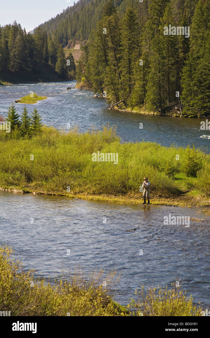 La pesca nel fiume di Madison nel Montana Foto Stock