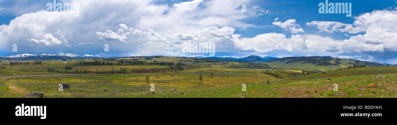 Panoramica della sezione settentrionale del Parco Nazionale di Yellowstone Wyoming USA Foto Stock