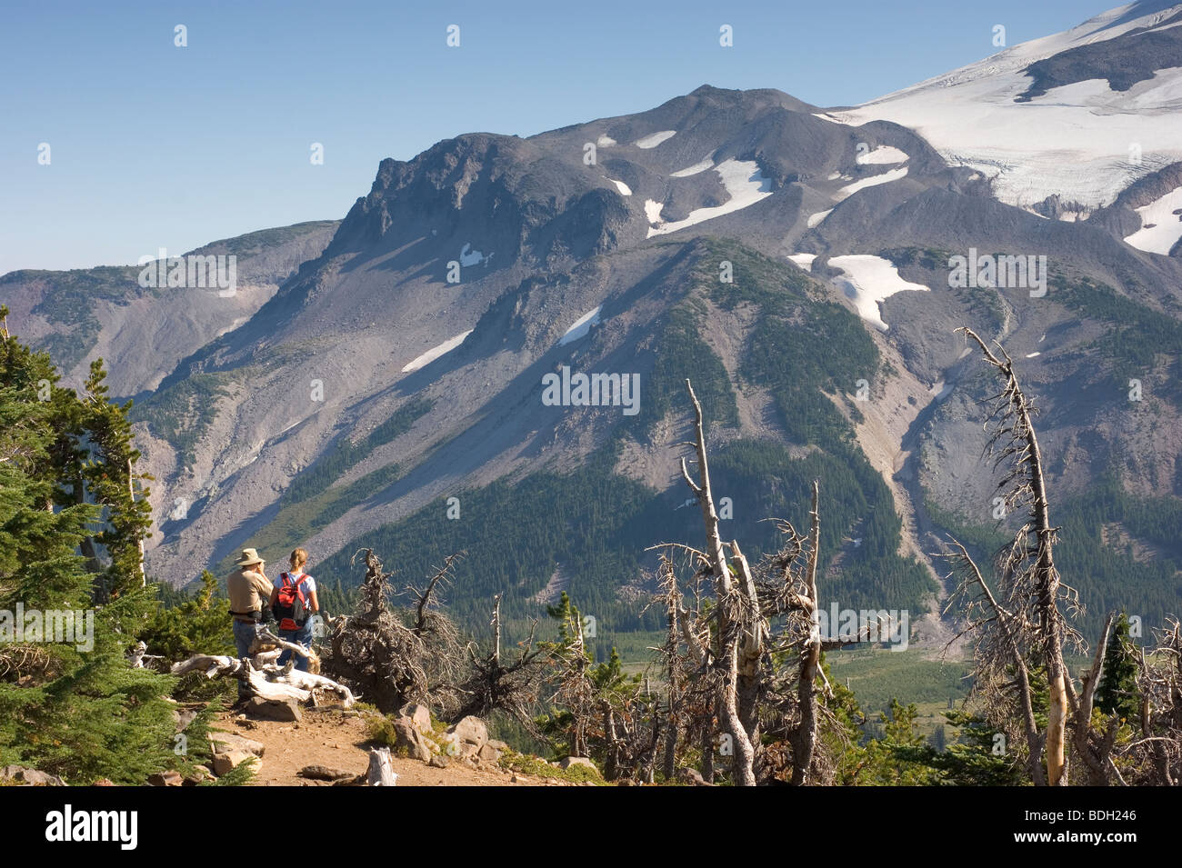 Montare Jefferson dal parco Butte Trail Cascade Mountains Oregon negli Stati Uniti Foto Stock