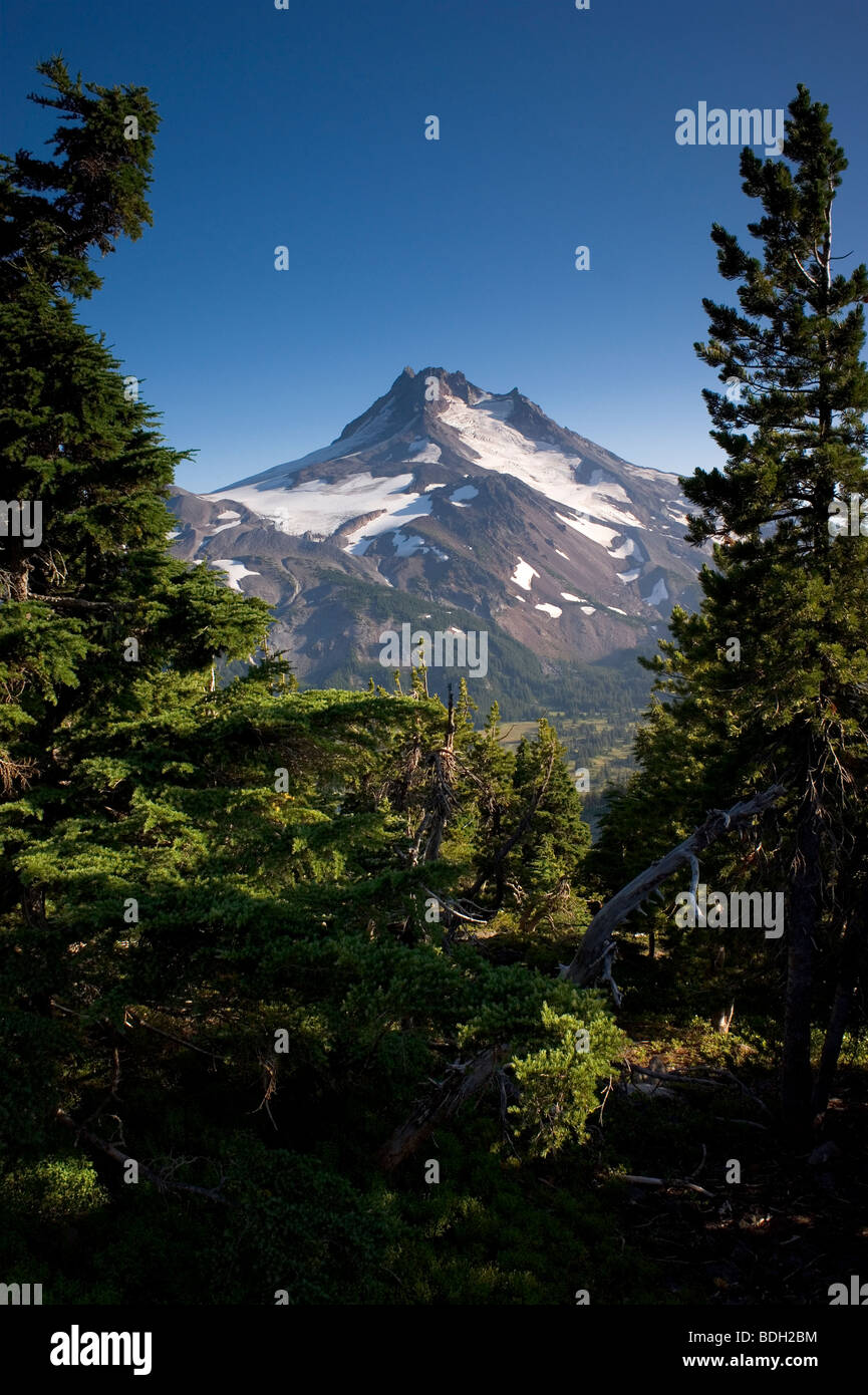 Montare Jefferson dal parco Butte Trail Cascade Mountains Oregon negli Stati Uniti Foto Stock