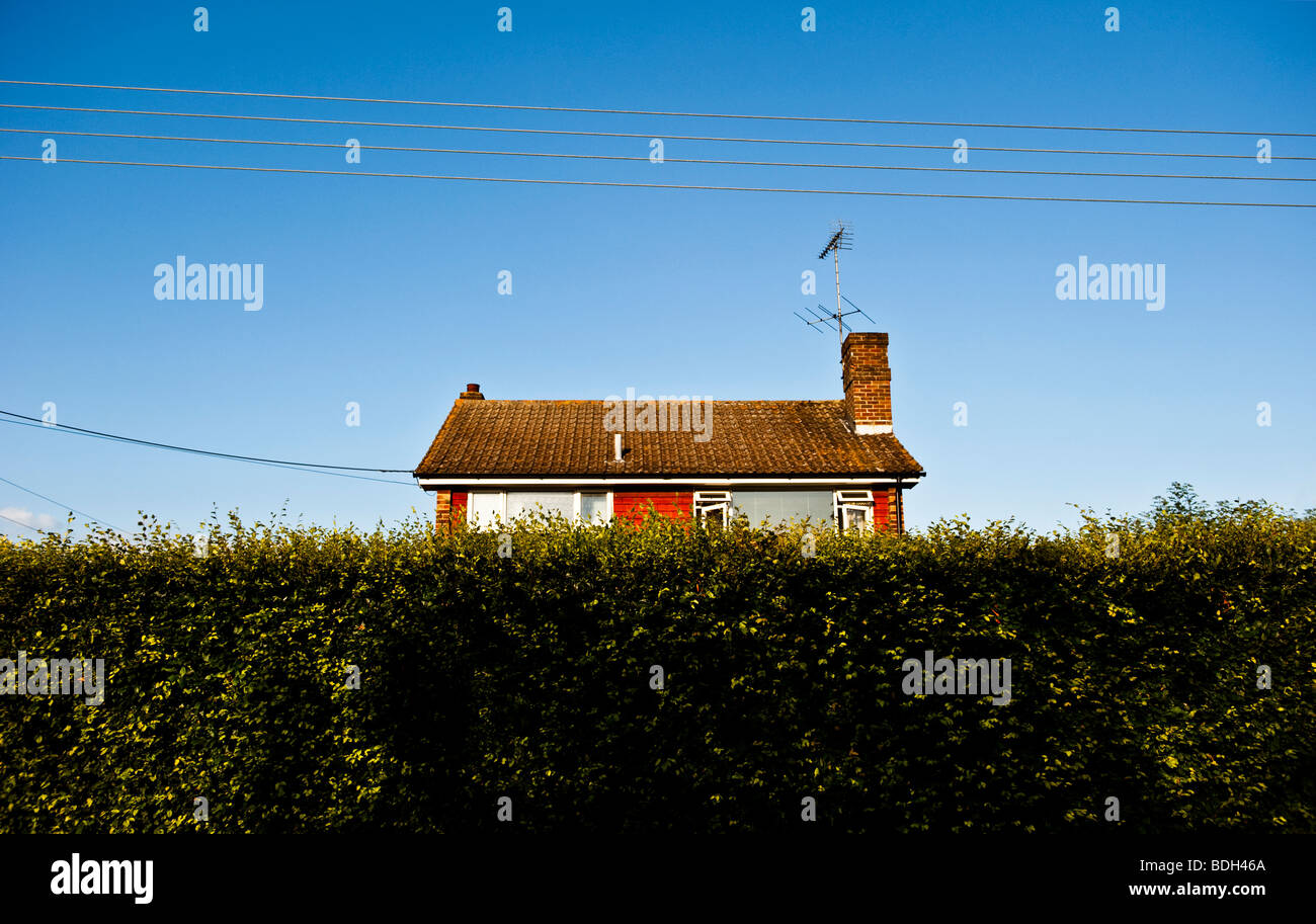 Cottage inglese dietro una siepe gigante Foto Stock
