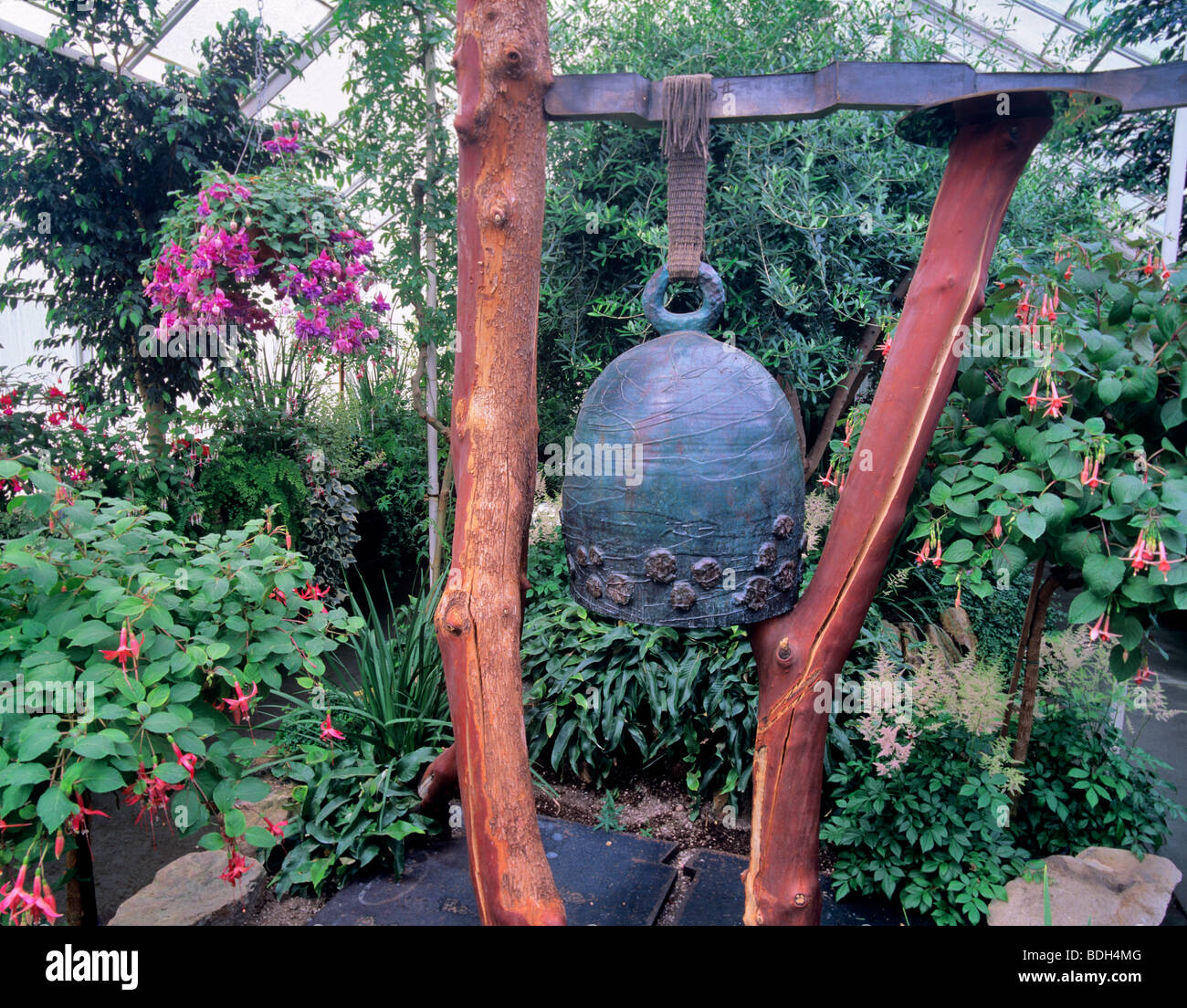 Bell e fuschias, volontario Park Conservatory, Seattle, Washignton. Foto Stock