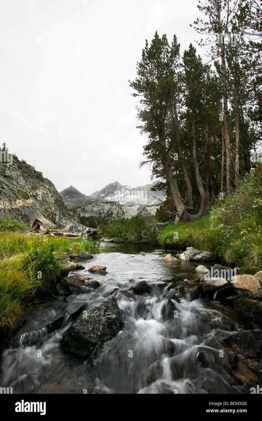 Ruscello di montagna, piccoli laghi Valley in California Foto Stock