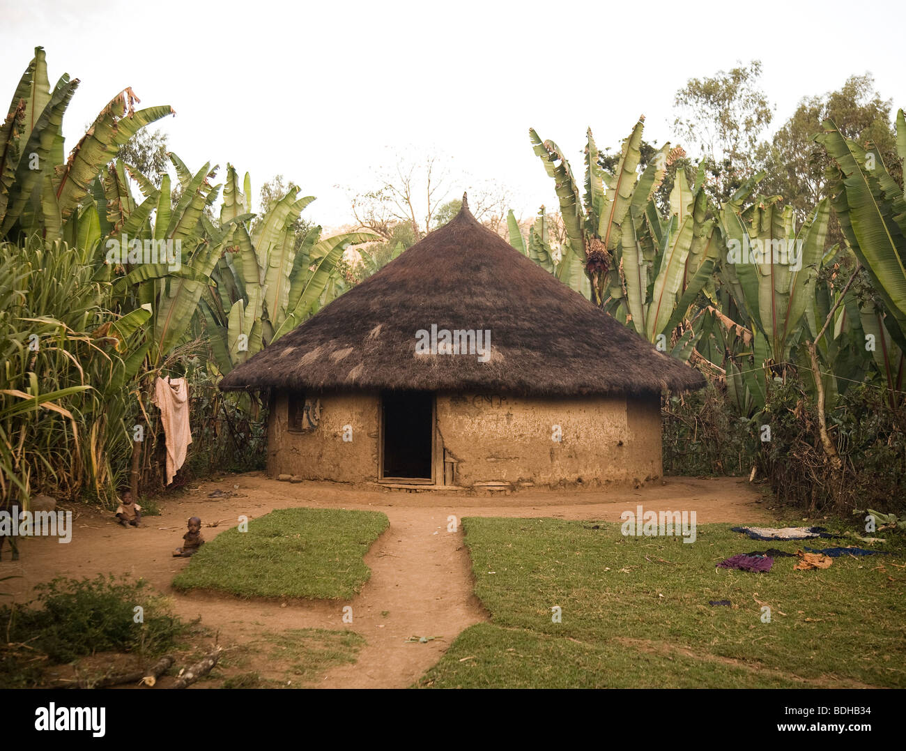 Una capanna di fango di forma conica con tetto di paglia in una radura circondata da alberi di banane. Foto Stock