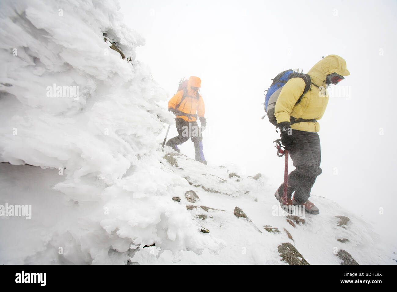 I membri del Mt. Osservatorio di Washington di team e la Foresta Nazionale di Servizio, escursione verso il basso Mt. Washington in condizioni di vento forte. Foto Stock
