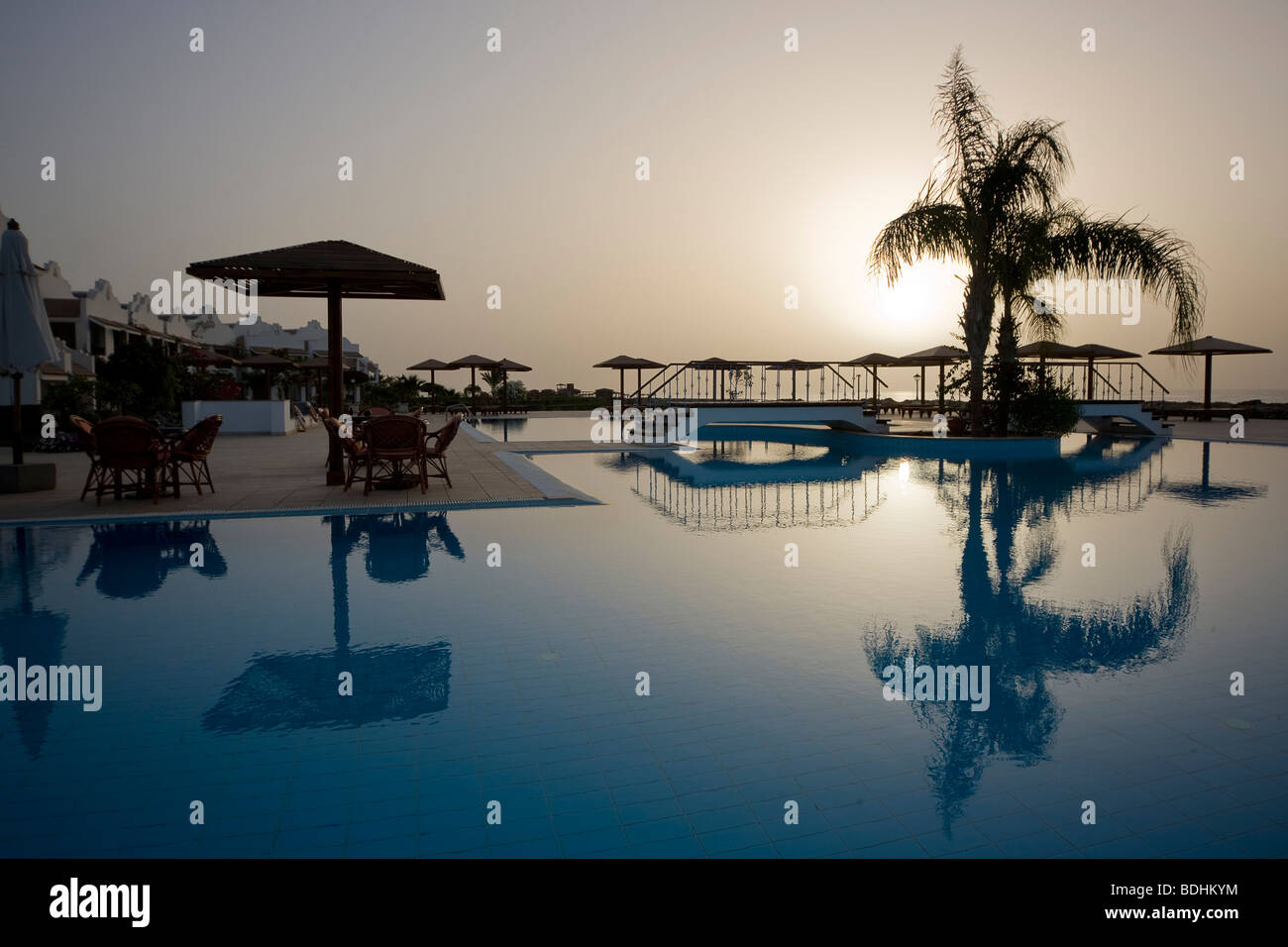 Tropical resort - una vista che mostra un albero di palma e la sua riflessione in piscina. Foto Stock