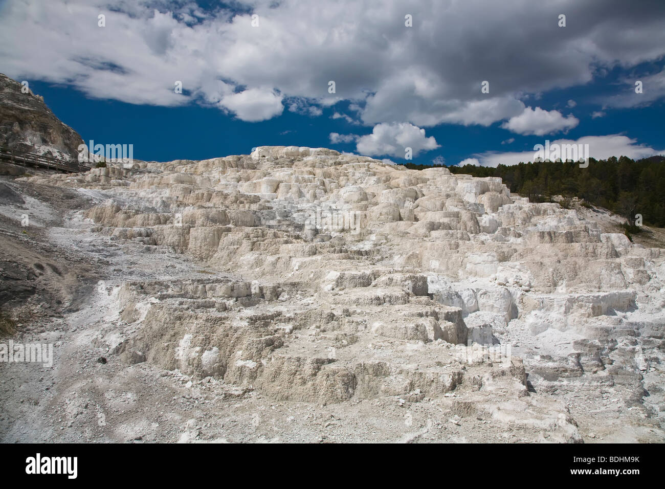 Terrazze di travertino in terrazze inferiore area a Mammoth Hot Springs nel Parco Nazionale di Yellowstone Wyoming USA Foto Stock