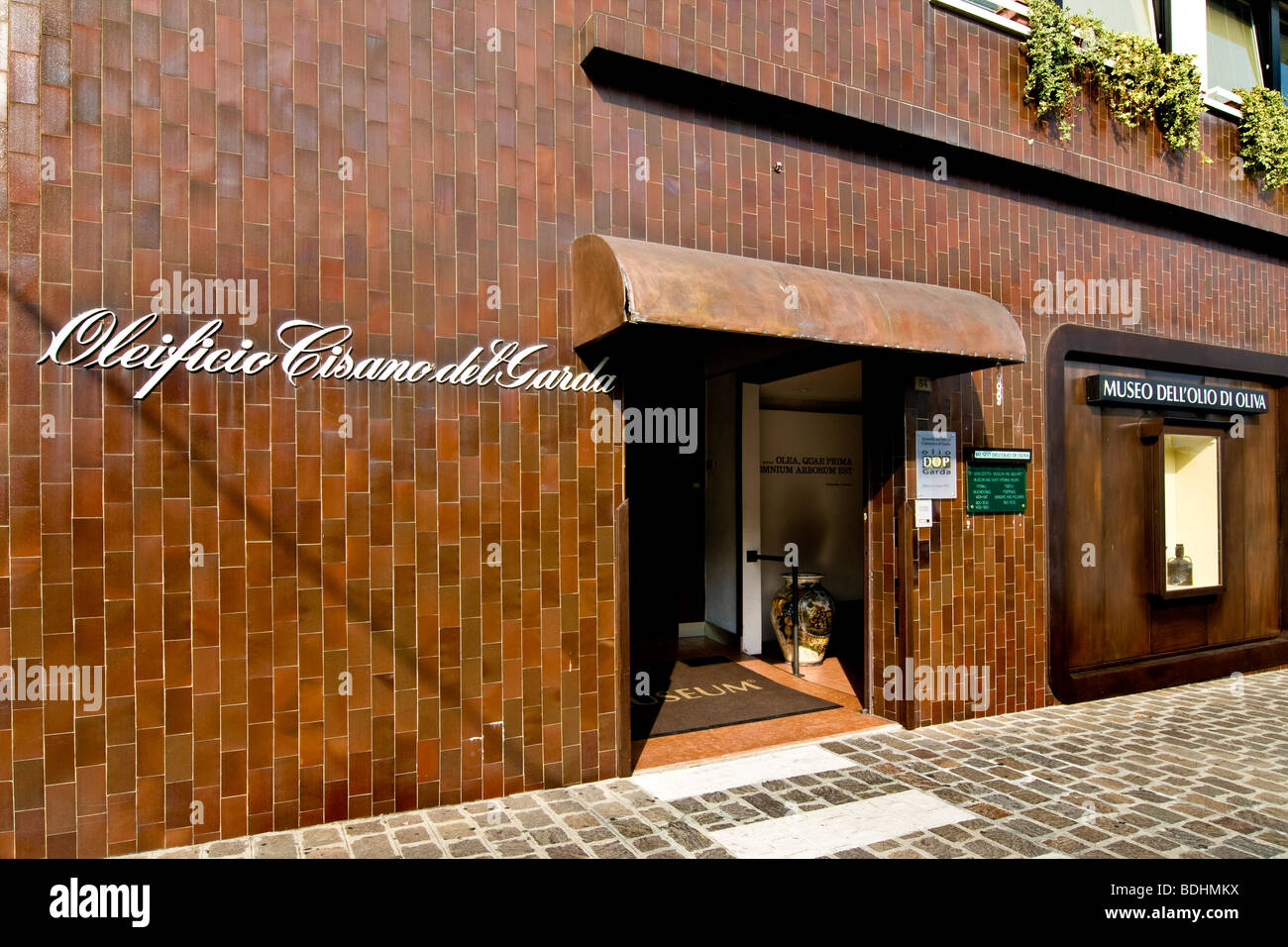 Museo dell olio d oliva, Cisano del Garda Lago di Garda, provincia di Verona, Italia Foto Stock