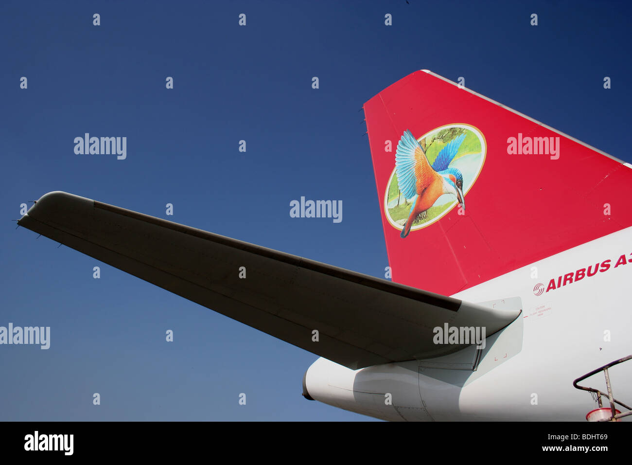 Kingfisher Airlines il piano di coda livrea logo Foto Stock